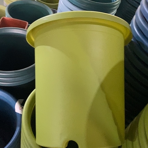 树脂四季7号微瑕果绿无托6个