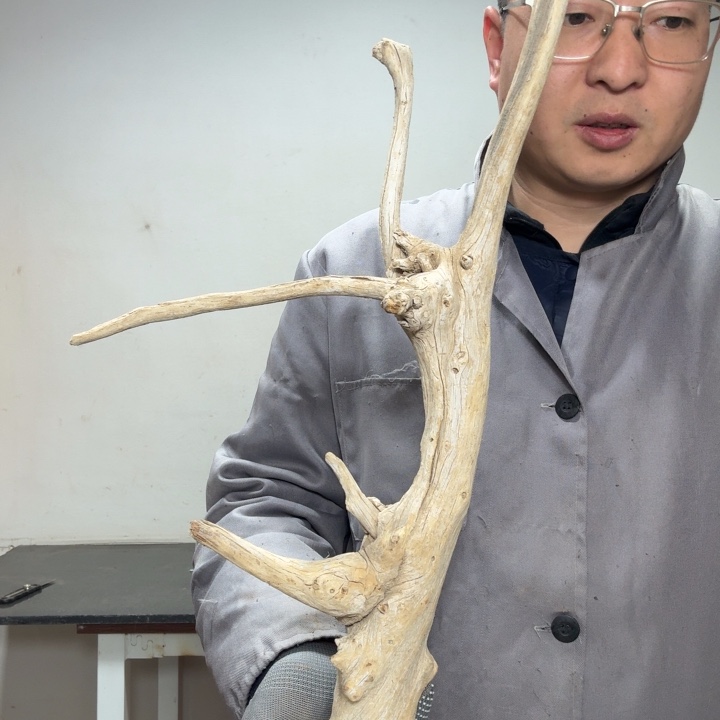 许***康香榧木18832259591