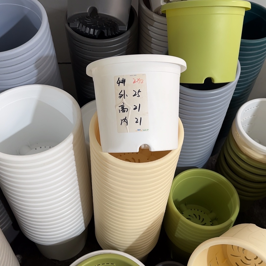 微瑕4号5个无托，白色