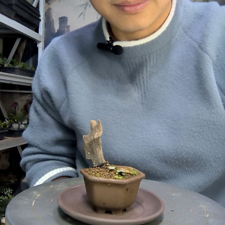 呀***～中青园艺一物一拍花427