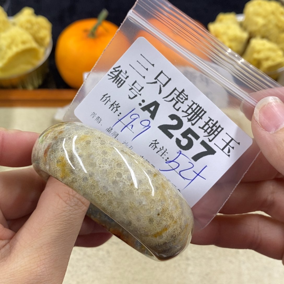 硅化珊瑚（珊瑚玉）1未镶嵌风**?