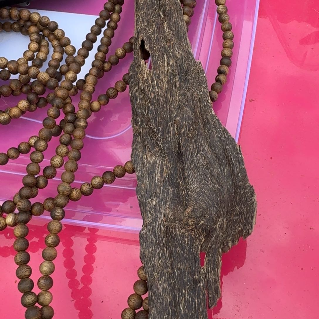 海南种植绿棋木料6