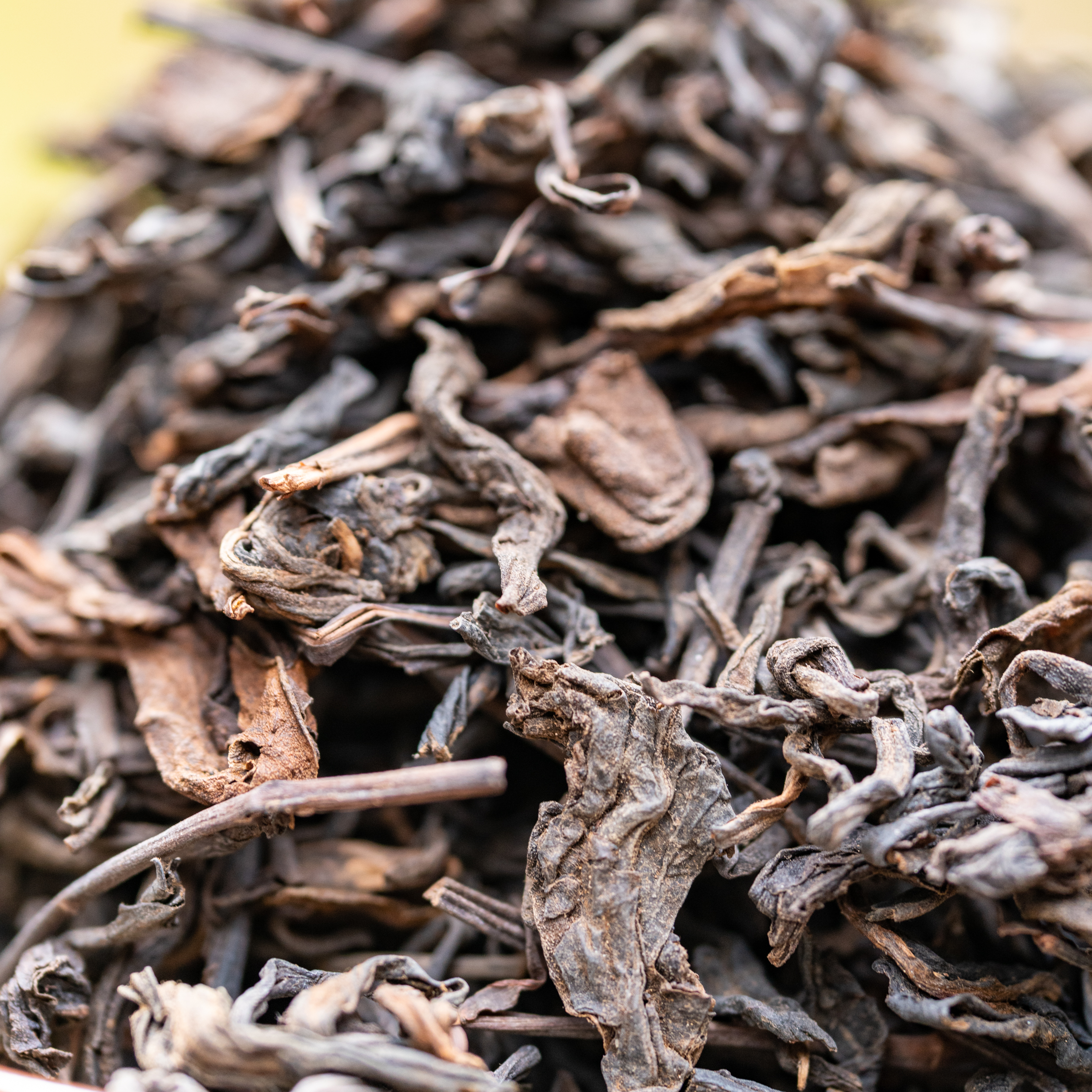 古树大叶、2011年、传统工艺【徐小敏六堡茶】广西梧州纯好六堡茶