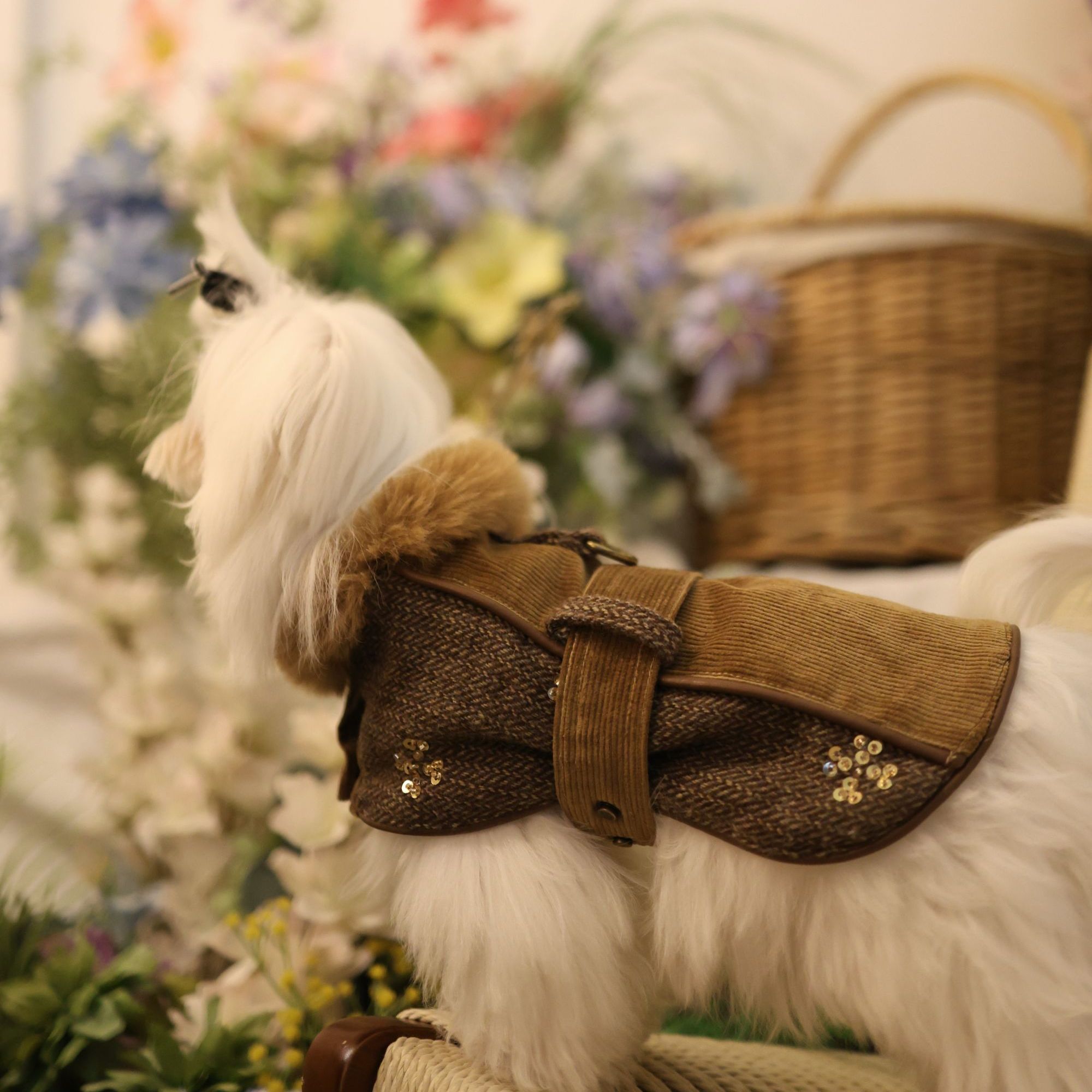 琥珀鎏光系列-宠物披风