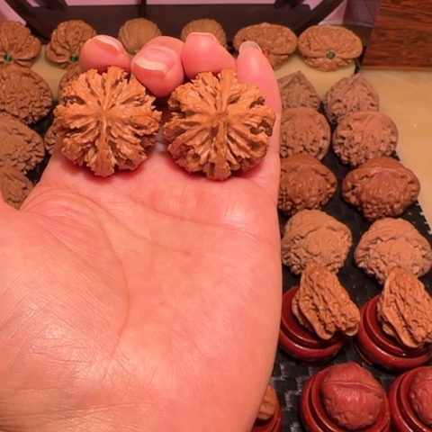 把件文玩核桃霸王龙