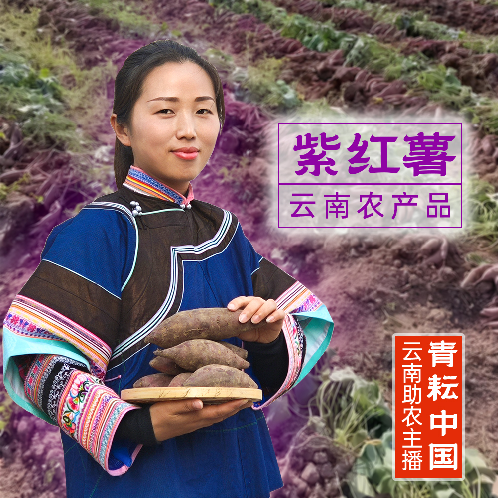 云南助农品【紫薯】