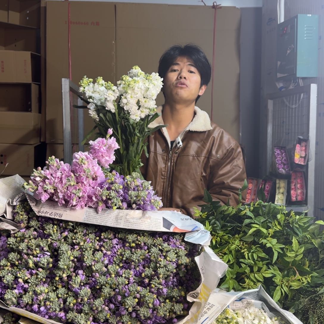 白色紫罗兰2扎不售后。