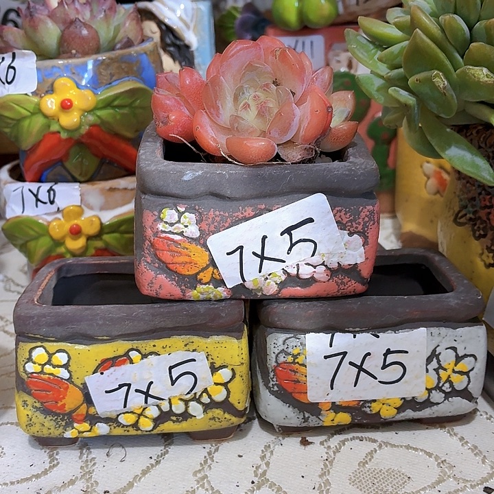 多肉花盆，满15包邮