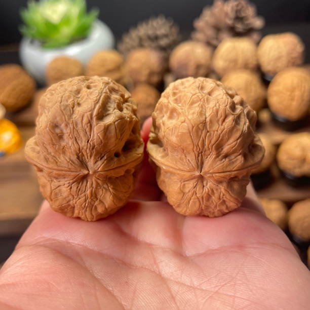 38尺寸  木鱼（云南铁核桃一物一图产地直发）