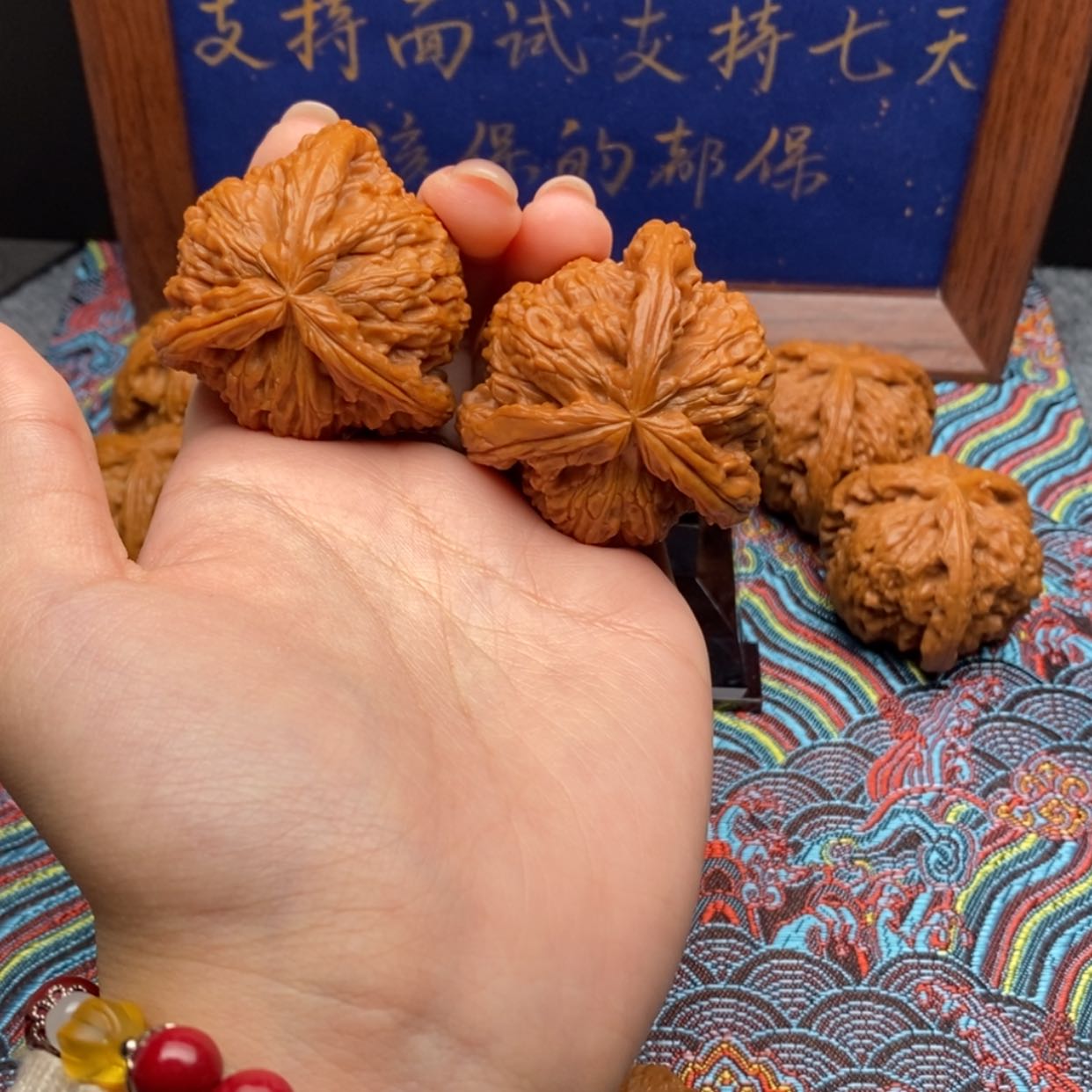 【闪购商品】宋*白狮