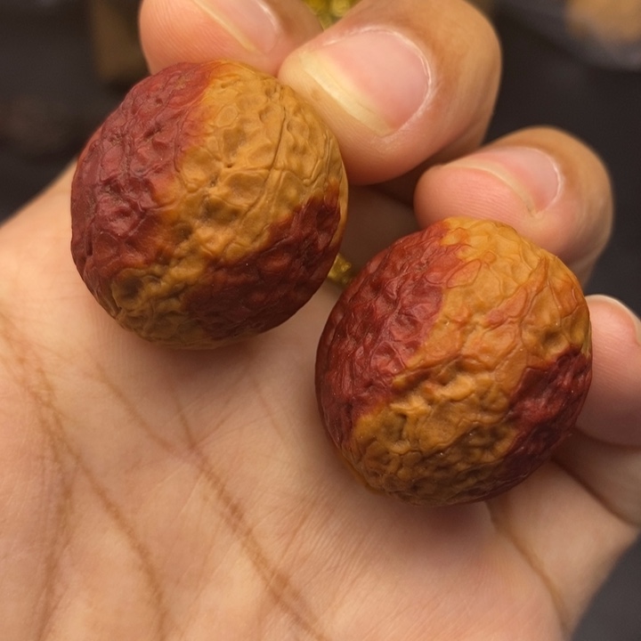 把件文玩核桃29尺鸽子蛋