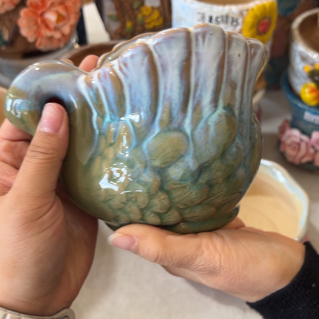 花盆满20米发货，爱退款拉黑福利