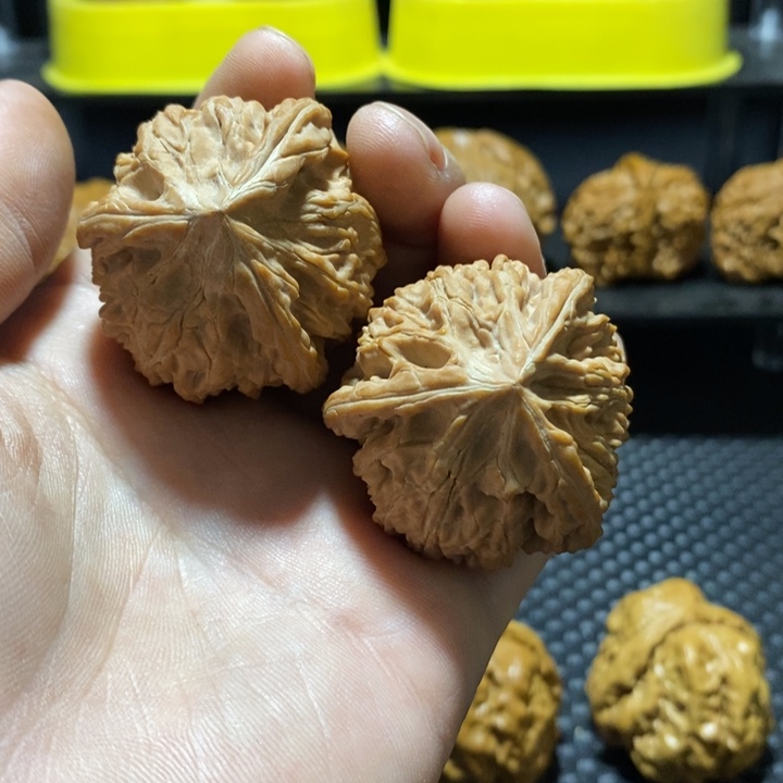 手串/手链核桃利*