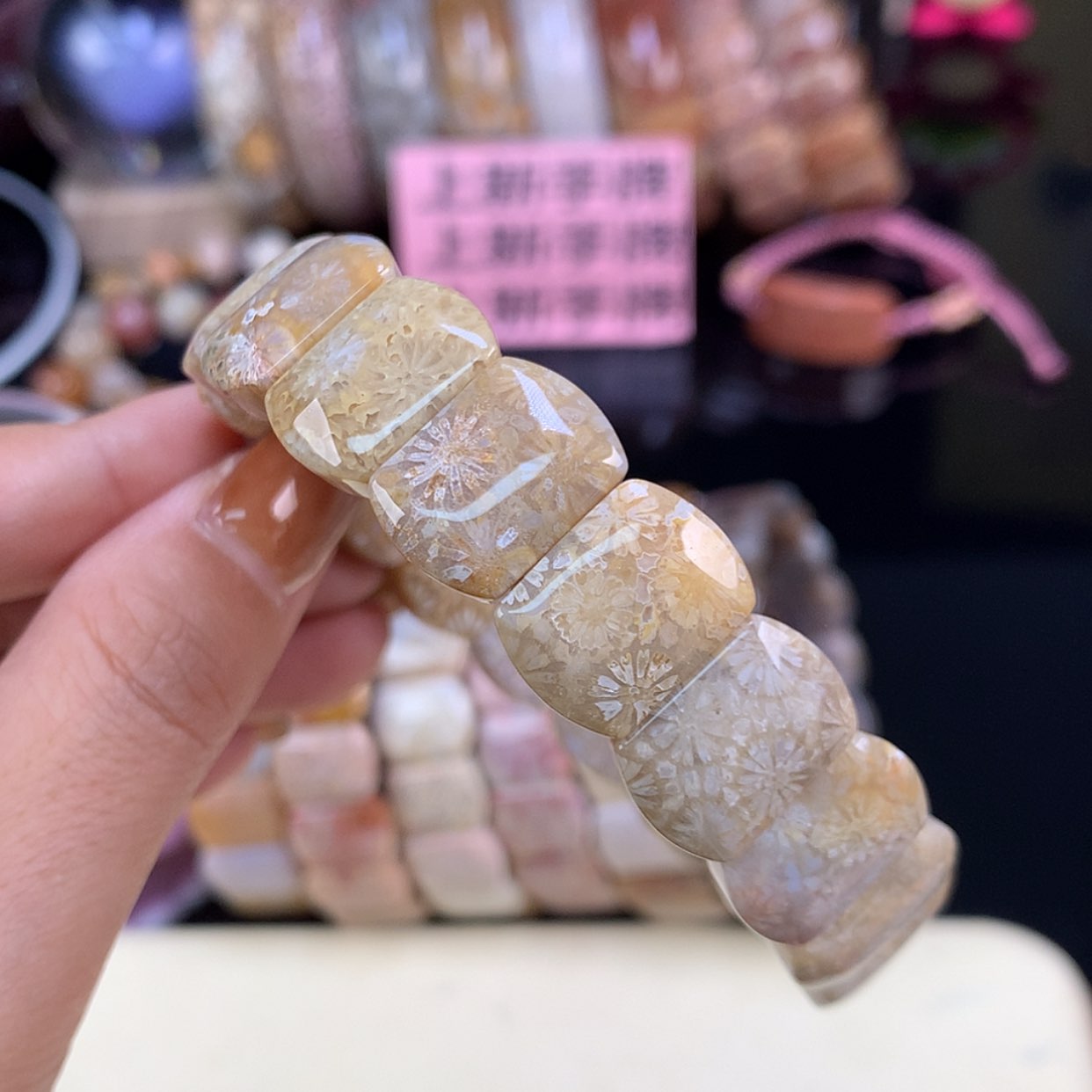 【闪购商品】颈饰未镶嵌硅化珊瑚（珊瑚玉）上新手牌（25号）