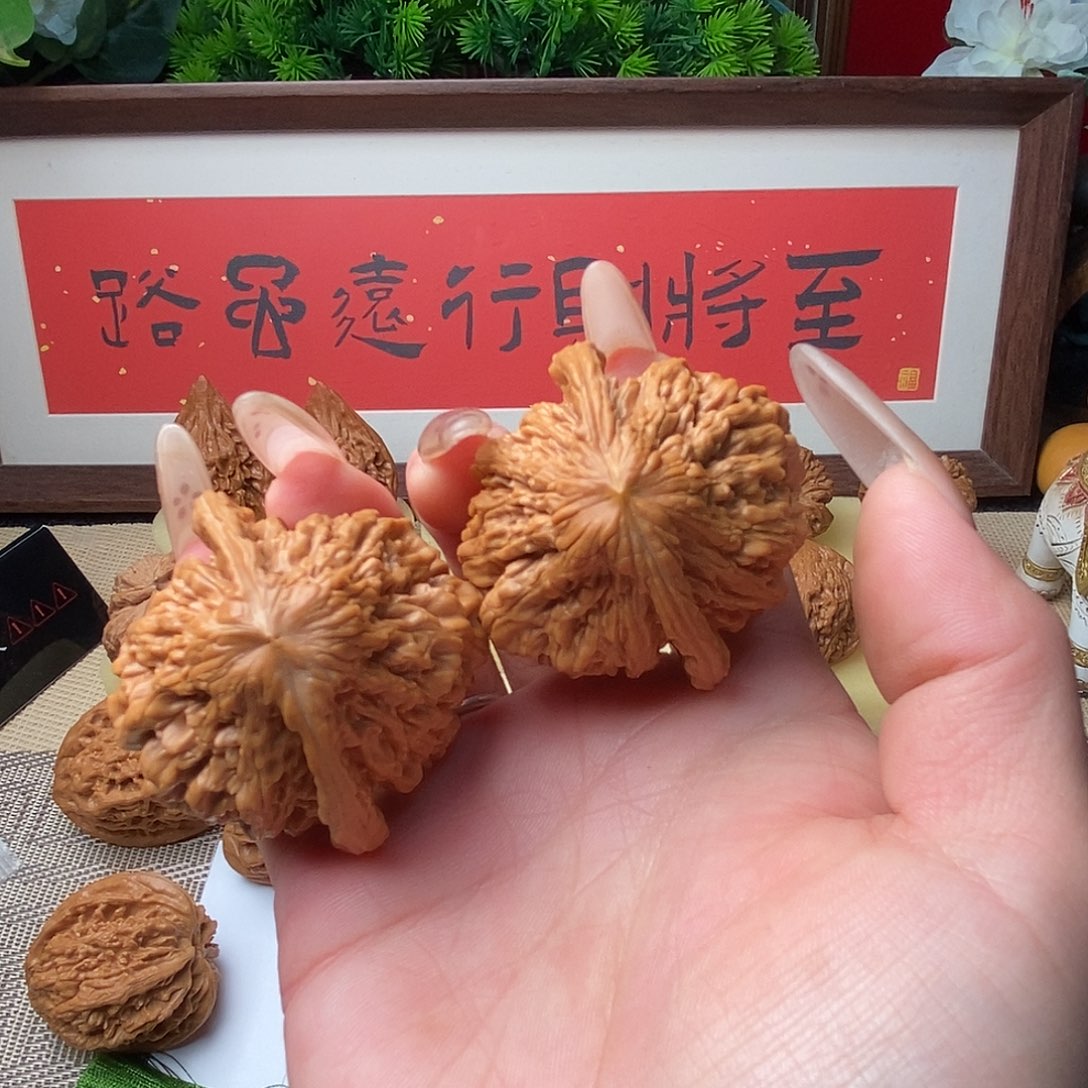 把件文玩核桃原树奶嘴翻江龙……