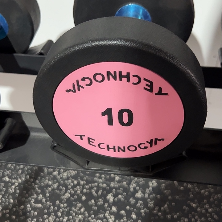 全新纯钢泰诺哑铃10公斤一对粉色