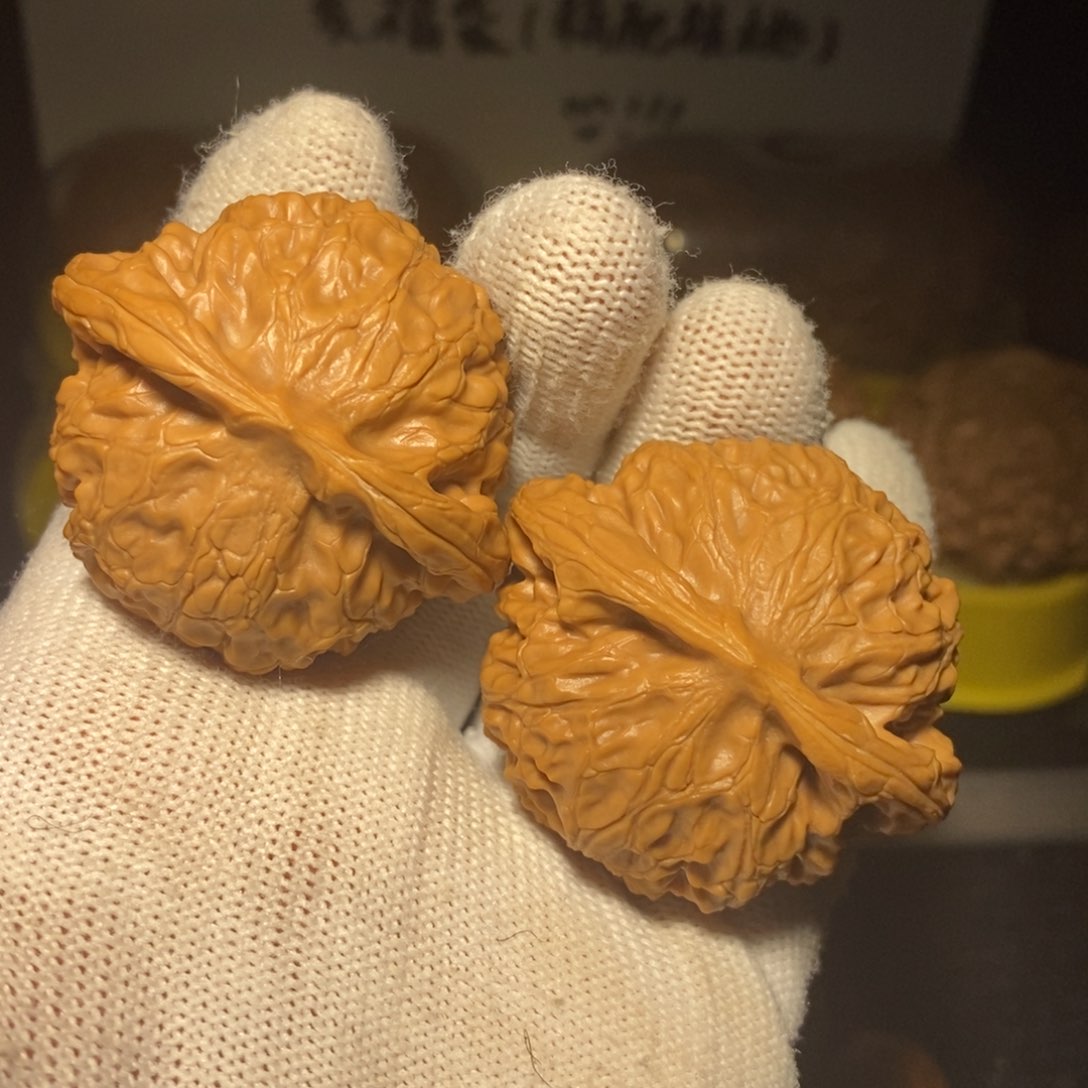 宫灯狮子头45尺精卡精配