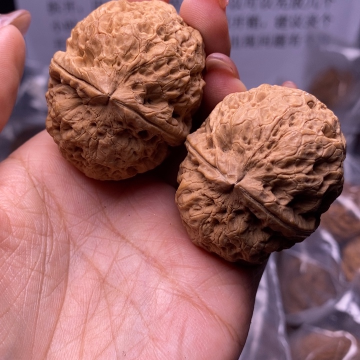 核桃云南野生铁核桃41号45mm