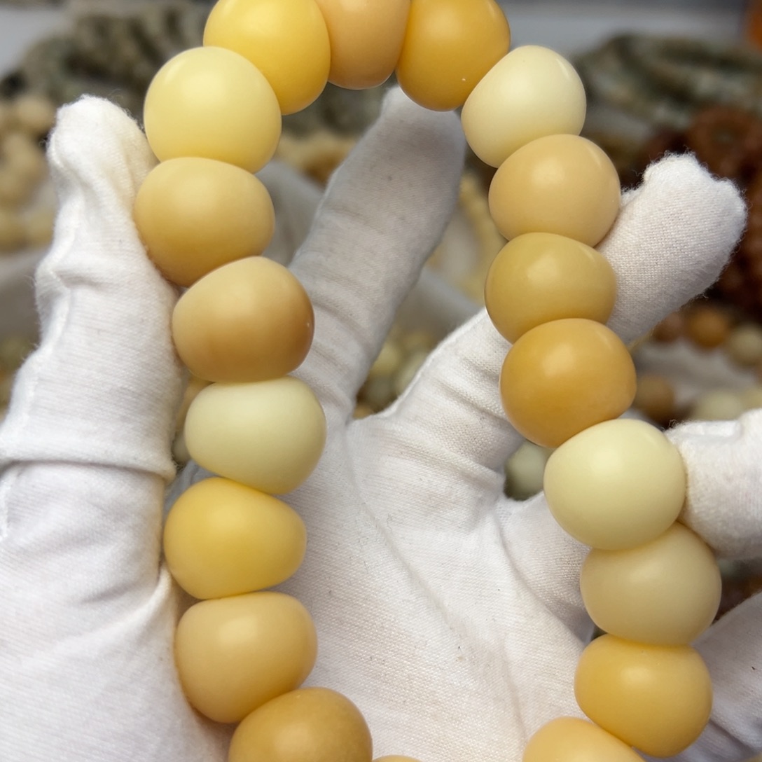 吊坠菩提根/象牙果17微瑕低抛112落地果大肠