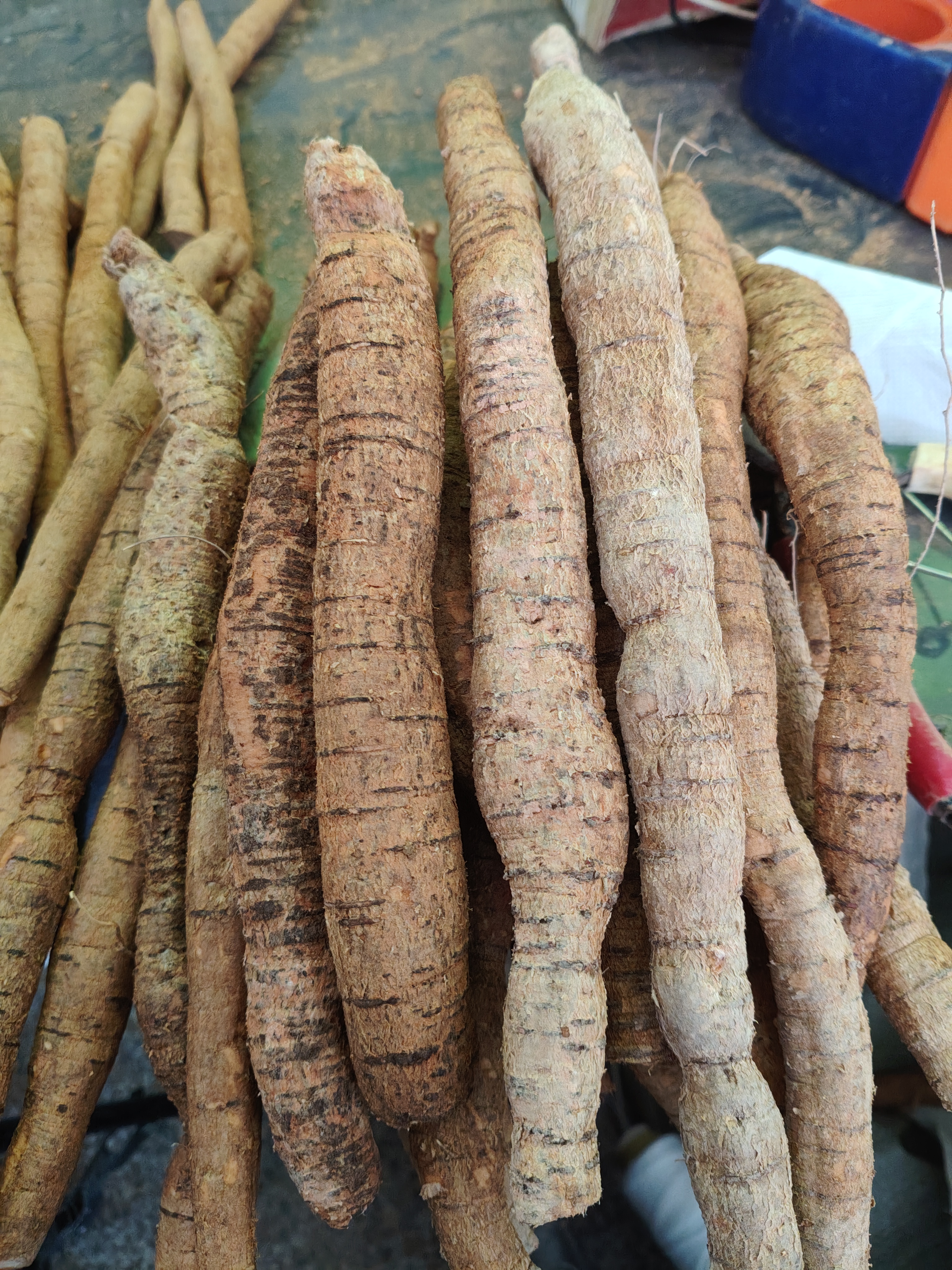 农家土特产新鲜大力薯中牛