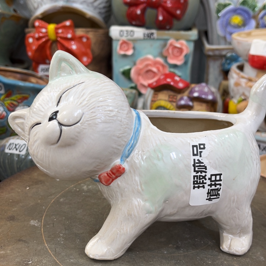 凑满15包邮发货发货