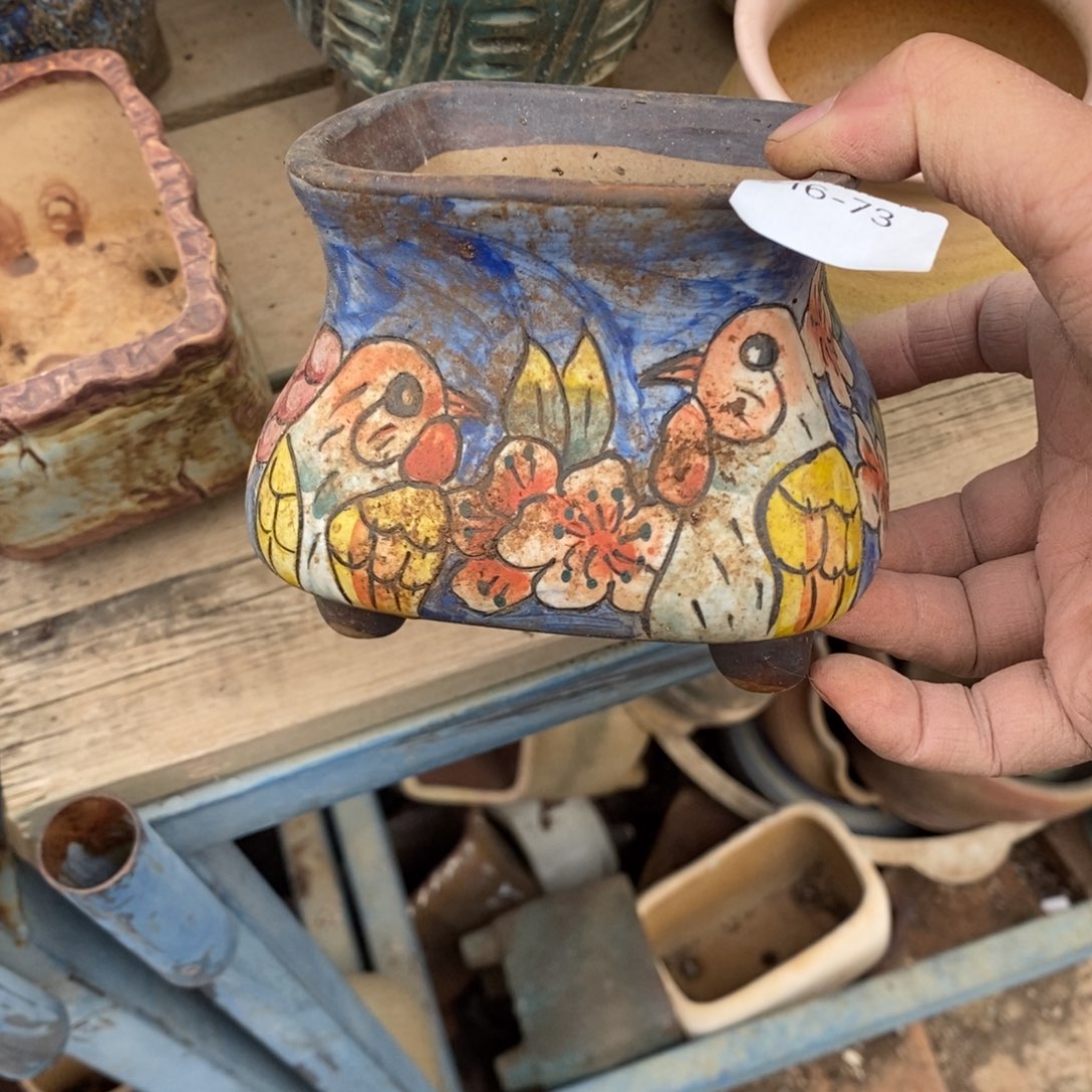 红陶美**园73号多肉盆一个呀