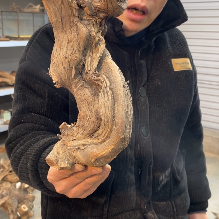 孟*生我们都是好孩子呀