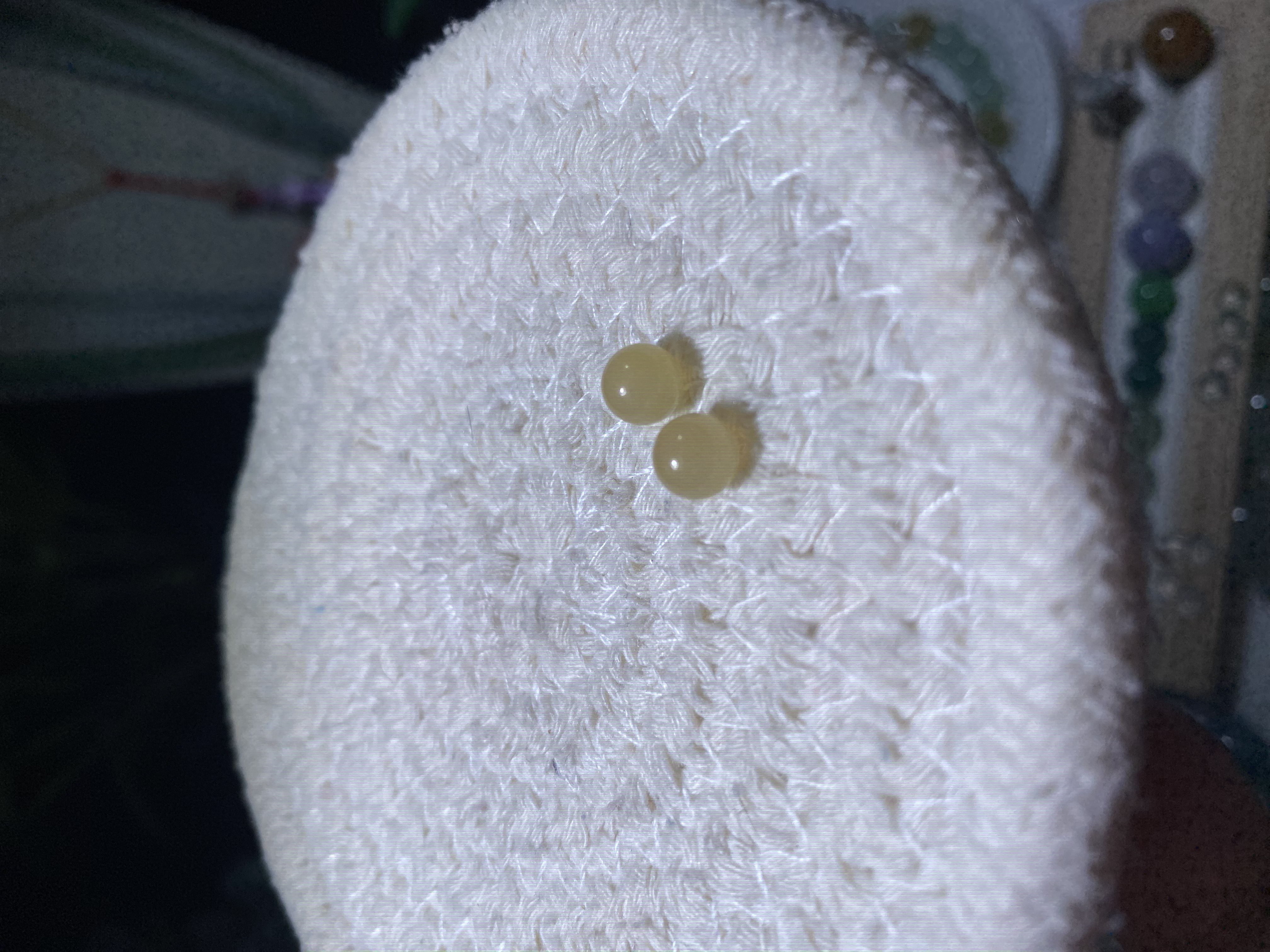 翡翠柠檬黄圆珠 卡6.3一对