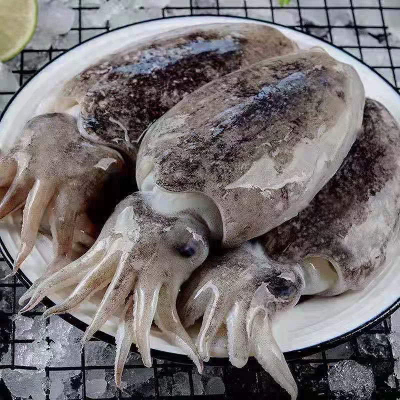 新鲜速冻海捕大墨鱼五斤