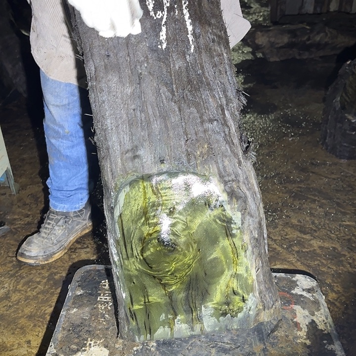 叶***室金丝楠金丝楠阴沉木