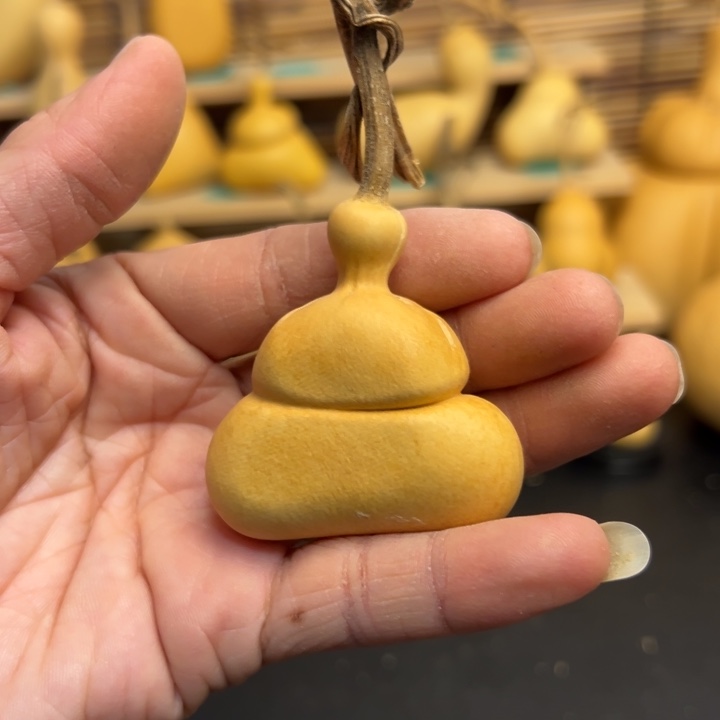 协****生葫芦葫芦葫芦葫芦葫芦葫芦