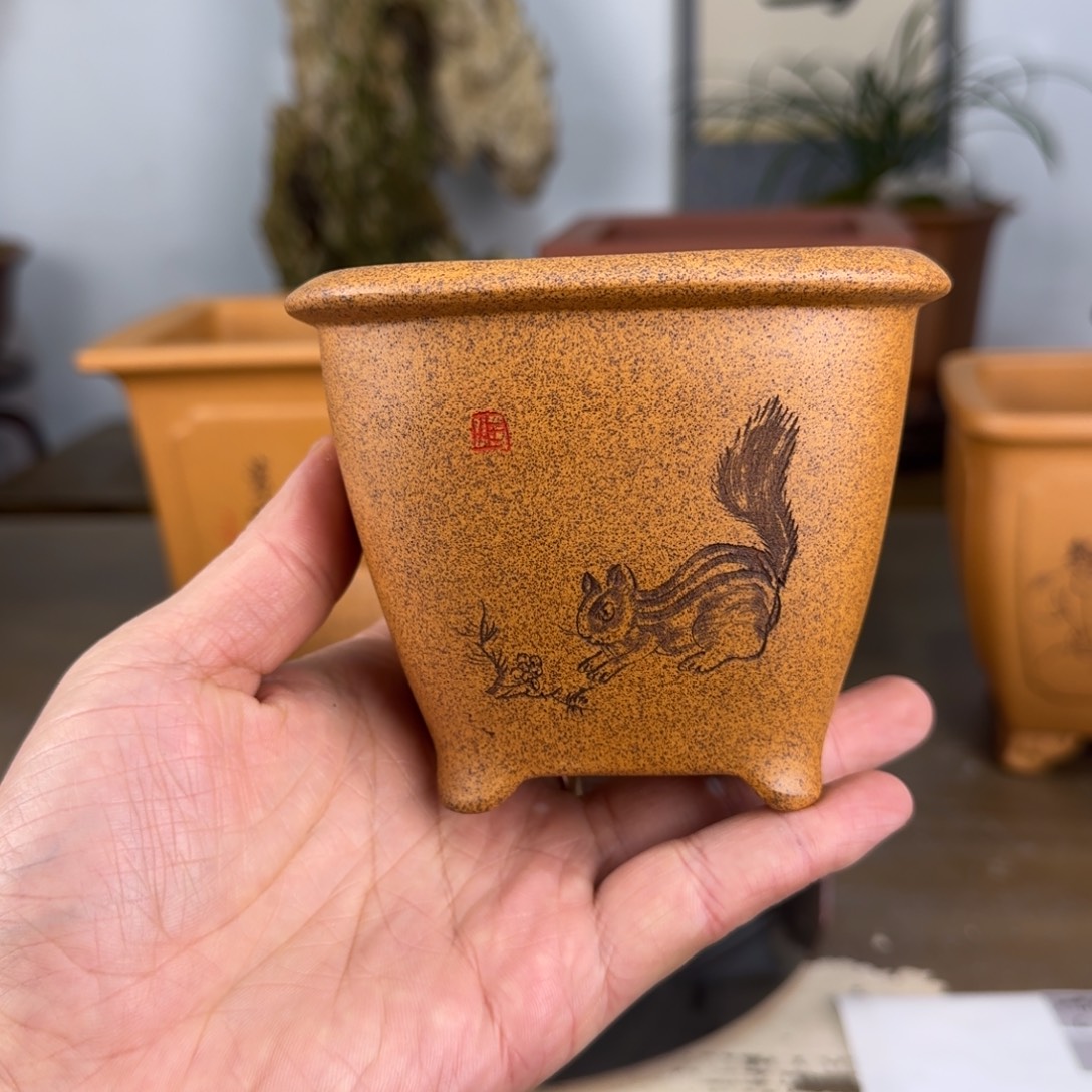 花盆紫砂紫砂花盆9.5-8