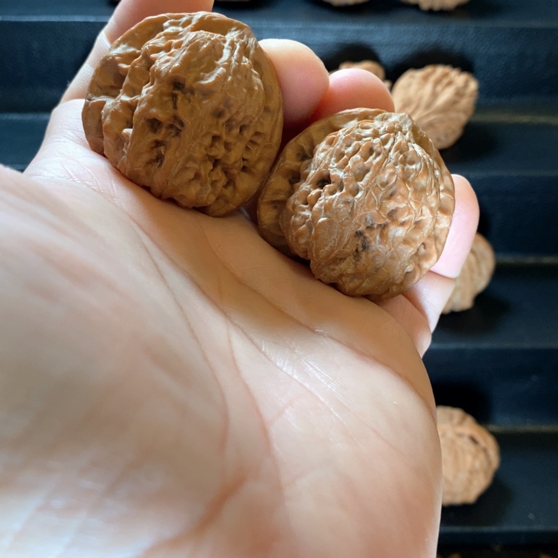 桃核把件野生原树靠山王40