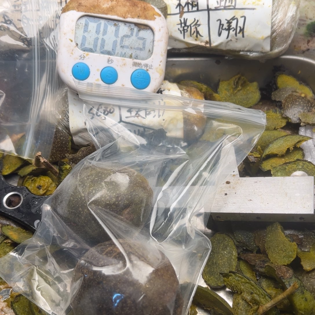 吹****刚回家姐姐你姐姐家