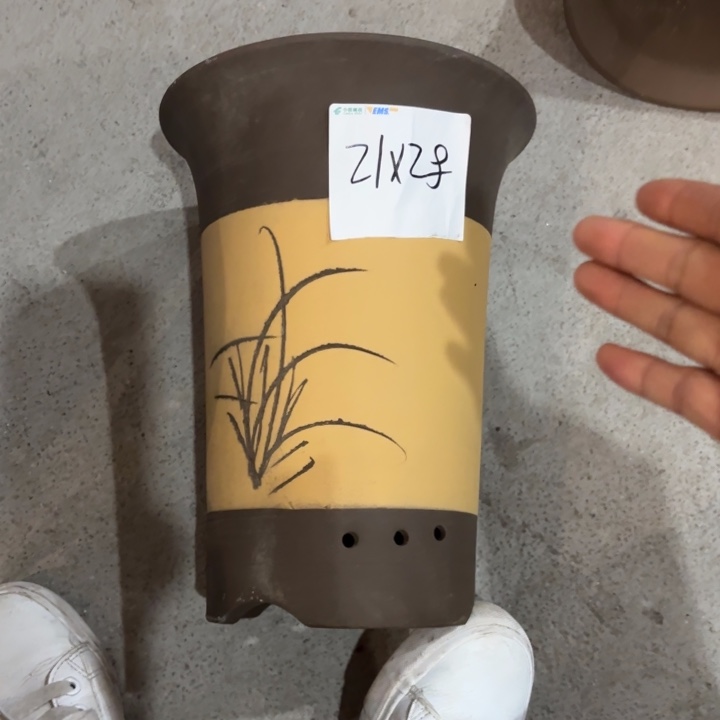 花盆紫砂紫砂的花