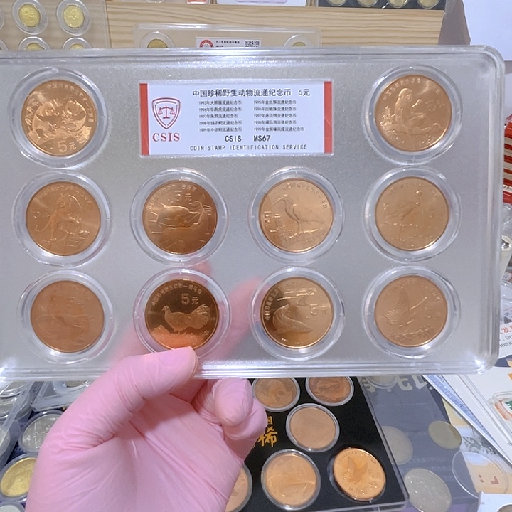 其他普通金属珍惜动物评级盒