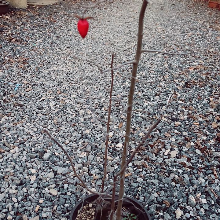 用***8无花朵哈哈哈哈哈哈