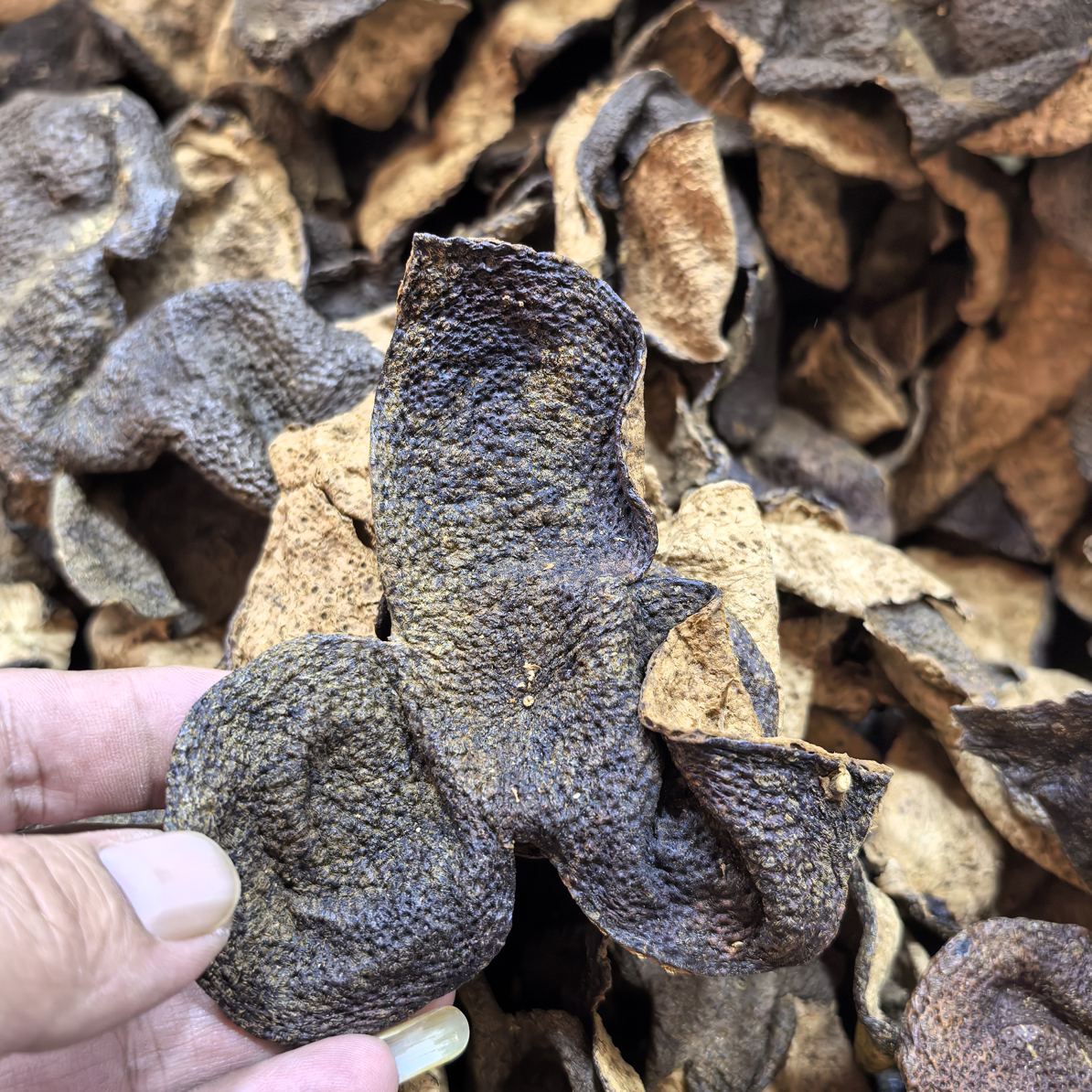 莲妈陈皮正宗新会陈皮通用链接