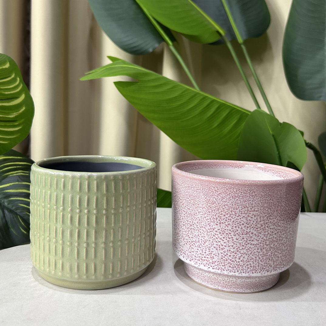 A008口12高11样品福利款适合小颗绿植