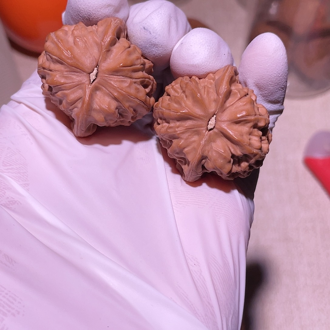 【闪购商品】32平谷大枣