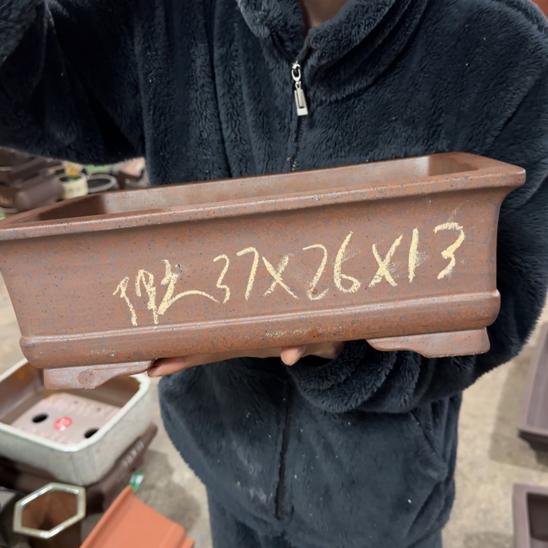 紫砂花盆呜呜呜呜