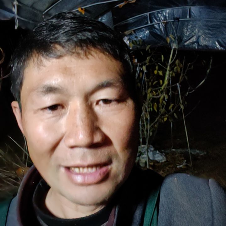 完全开放一物一拍