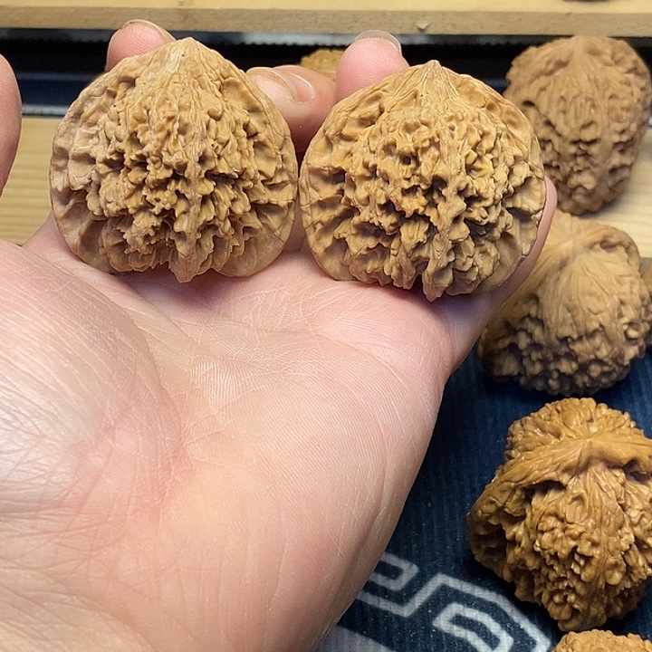 核桃44全品满天星福利