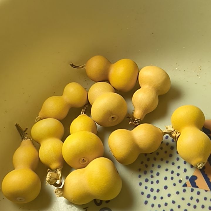 晩***叶1111111111111118888