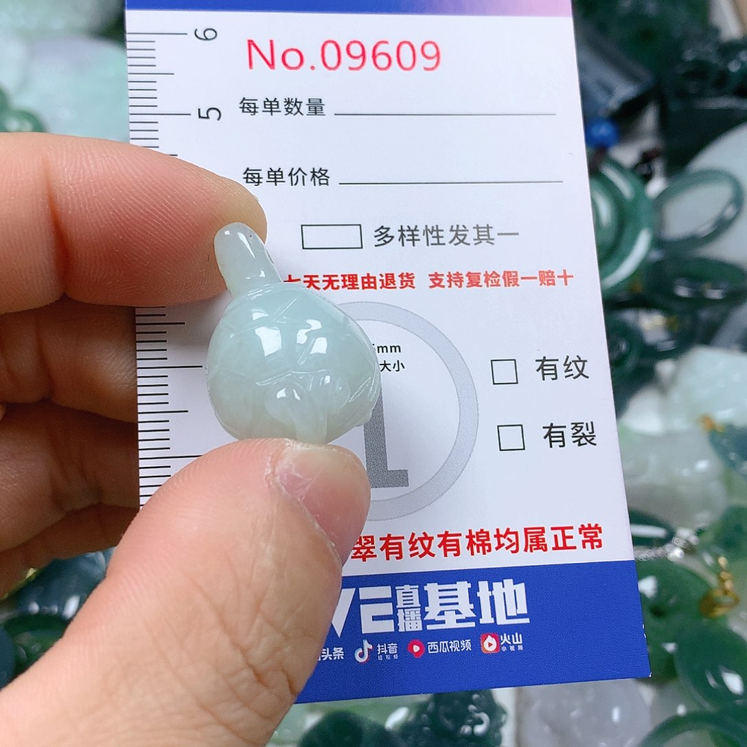 翡翠颈饰未镶嵌天然翡翠