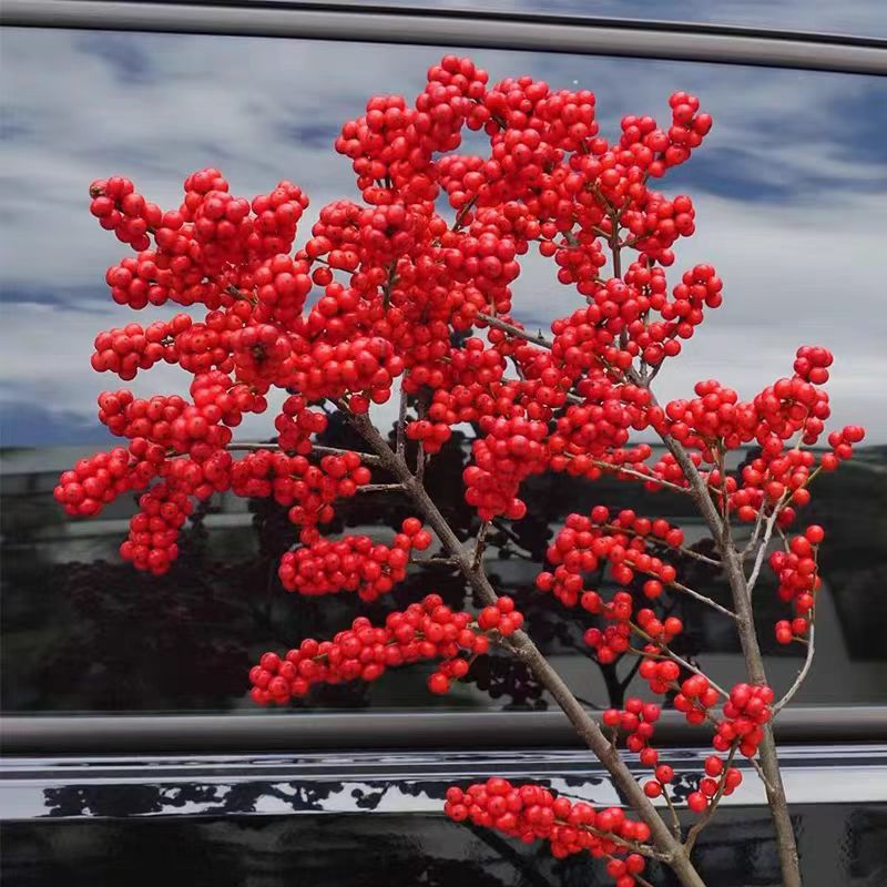 红果冬青果真花新年圣诞家居客厅假花摆件云南鲜切枝直发 鲜花