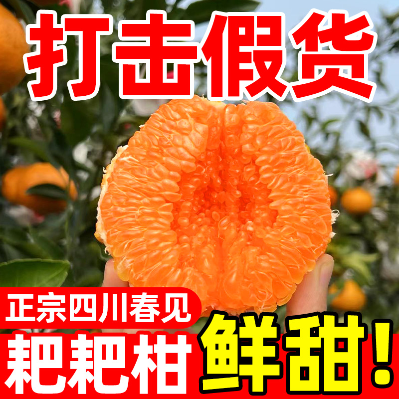 【25年头茬鲜果】正宗四川春见耙耙当季新鲜现摘水果特级粑粑柑XL