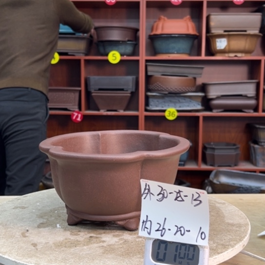 醌***翅紫砂花盆中香薰装饰设计