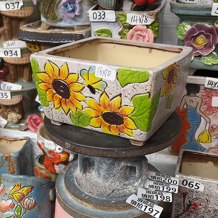 粗陶材质多肉花盆