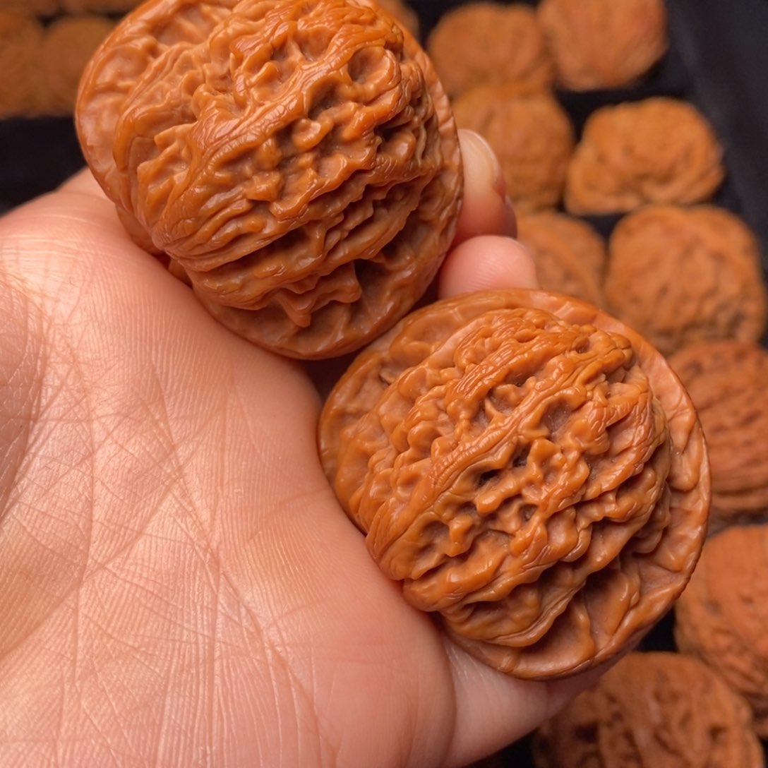 文玩核桃把件秦岭野生核桃